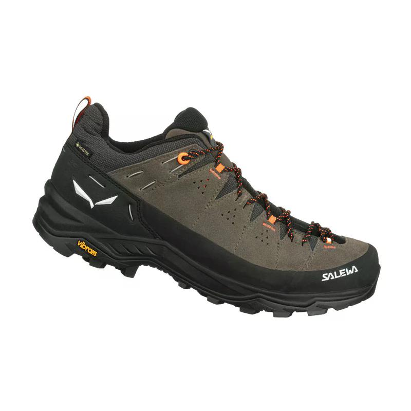 SALEWA Men's hiking shoes BROWN