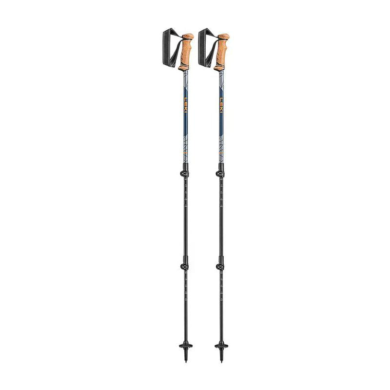 LEKI Ski pole GREY
