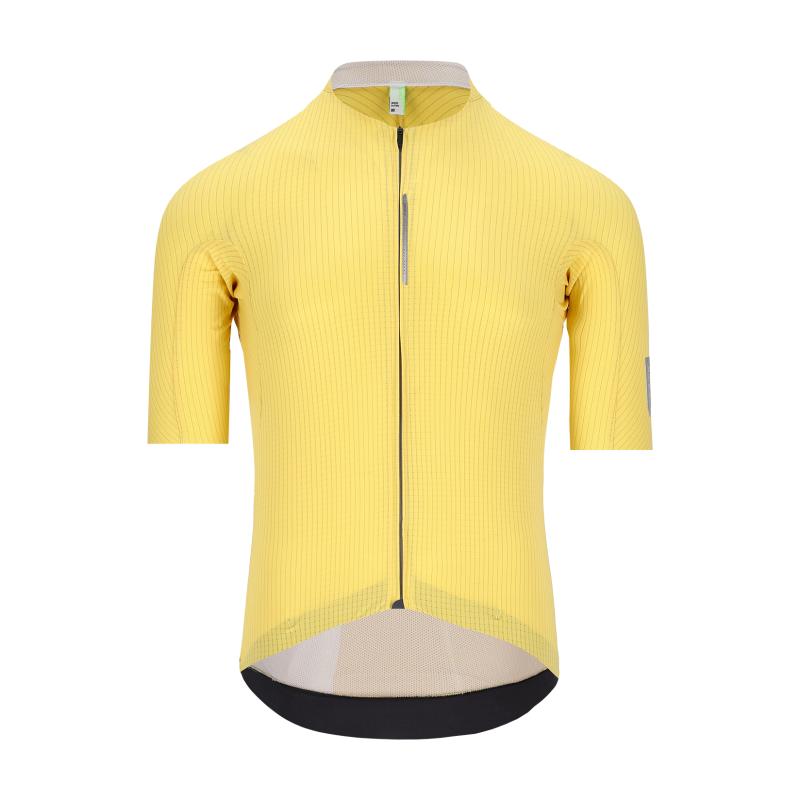 Q36.5 Apparel YELLOW